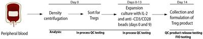 Polyclonal Regulatory T Cell Manufacturing Under cGMP: A Decade of Experience